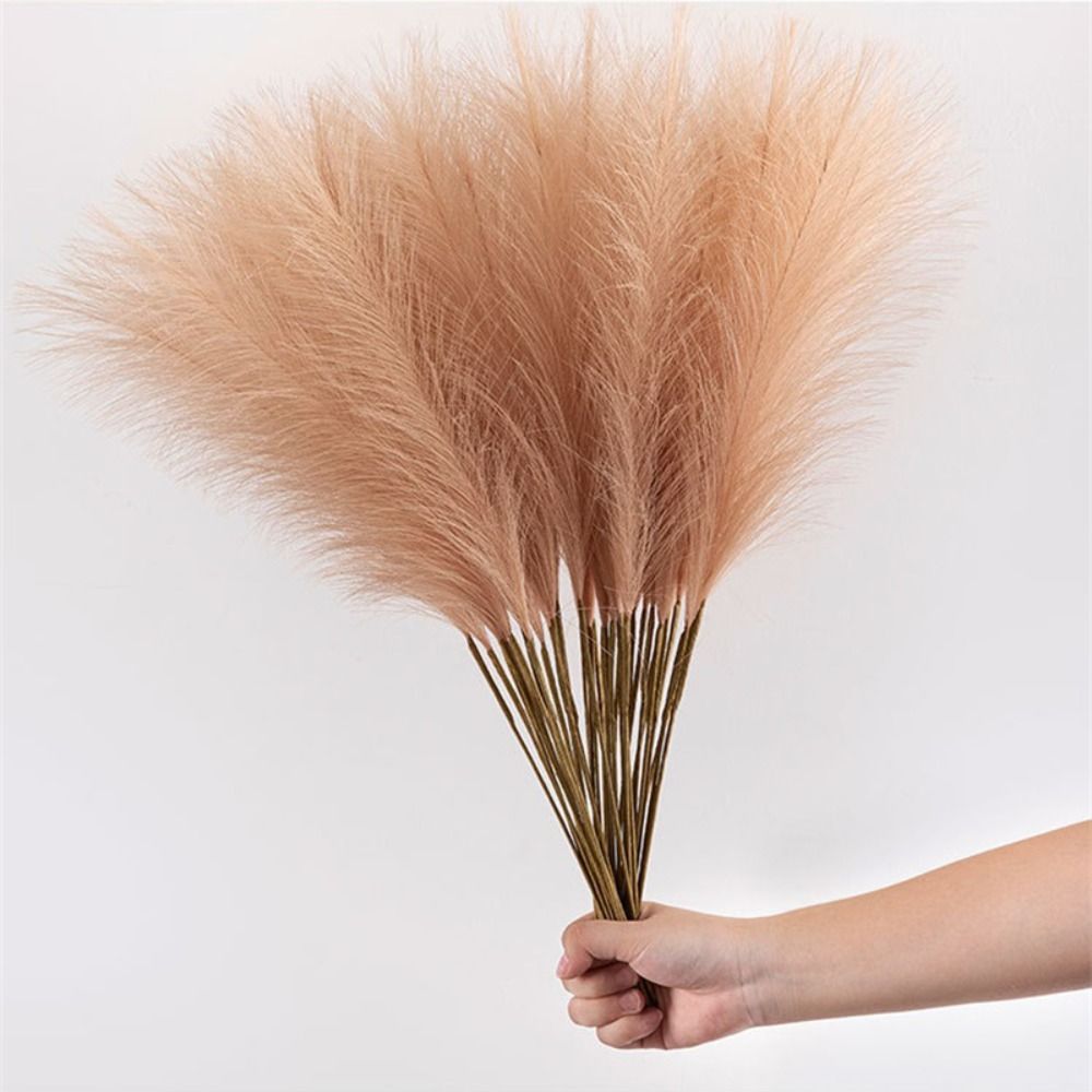 10 ชิ้น/ชุด ของตกแต่งบ้าน หญ้า - Pampas Grass Decor บทวิจารณ์และราคา