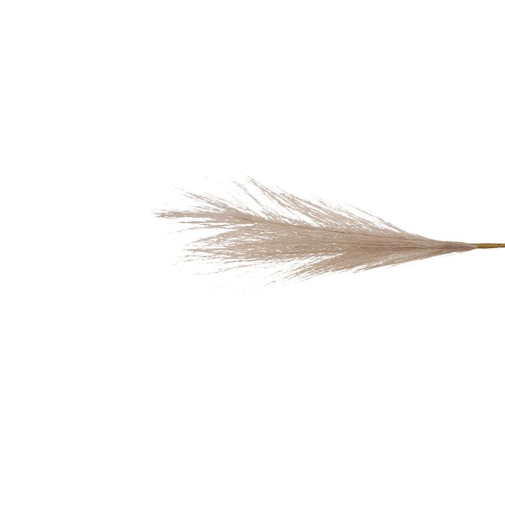 ดอกไม้ประดิษฐ์ขนาดเล็กสำหรับตก - Pampas Grass Decor บทวิจารณ์และราคา