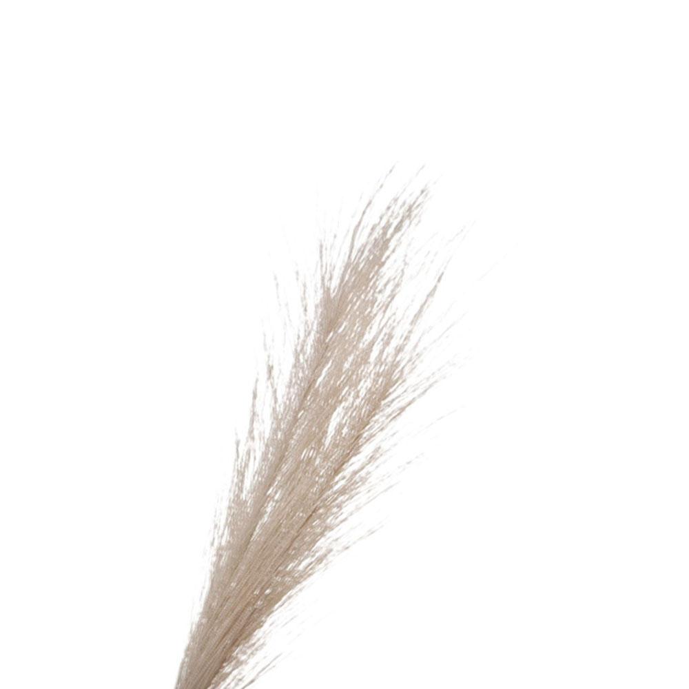 ดอกไม้ประดิษฐ์ขนาดเล็กสำหรับตก - Pampas Grass Decor บทวิจารณ์และราคา