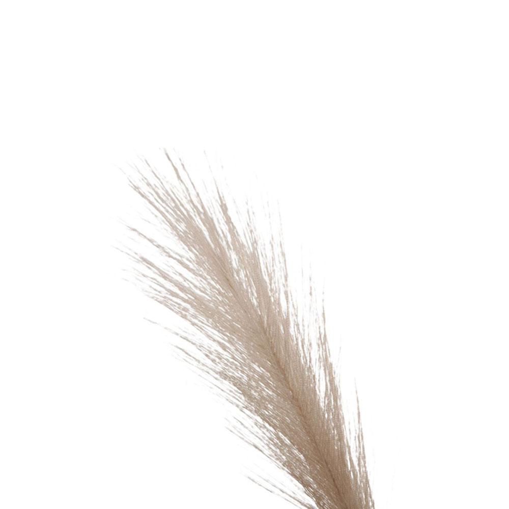 ดอกไม้ประดิษฐ์ขนาดเล็กสำหรับตก - Pampas Grass Decor บทวิจารณ์และราคา
