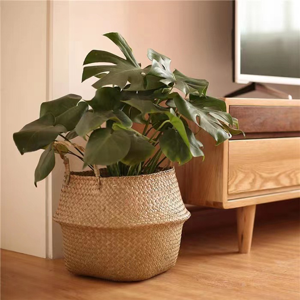 ตะกร้าพืชพร้อมที่จับตะกร้าหวาย - Rattan Plant Basket บทวิจารณ์และราคา